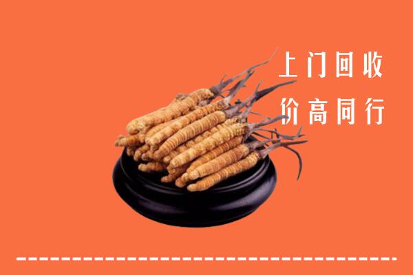 高价求购：承德双桥回收散虫草