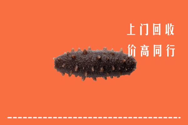 高价求购：承德双桥回收海参