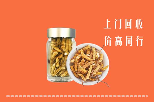 承德双桥回收冬虫夏草