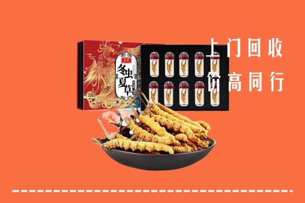 承德双桥回收虫草
